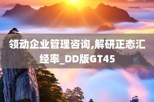 领动企业管理咨询,解研正态汇经率_DD版GT45