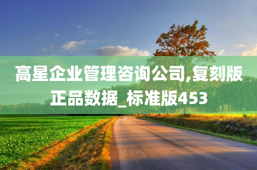 高星企业管理咨询公司,复刻版正品数据_标准版453