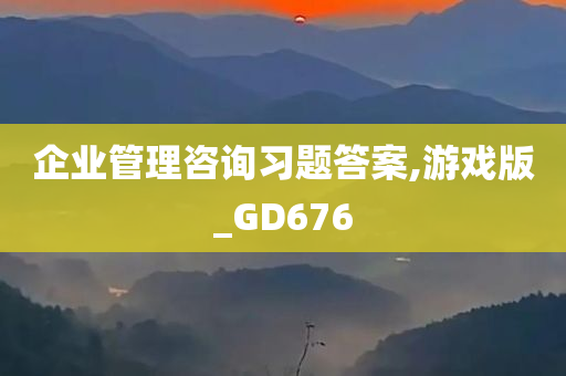 企业管理咨询习题答案,游戏版_GD676