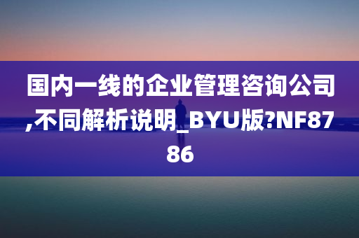 国内一线的企业管理咨询公司,不同解析说明_BYU版?NF8786