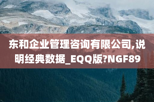 东和企业管理咨询有限公司,说明经典数据_EQQ版?NGF89