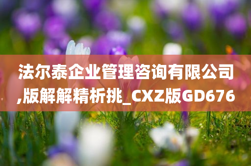 法尔泰企业管理咨询有限公司,版解解精析挑_CXZ版GD676