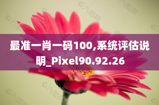 最准一肖一码100,系统评估说明_Pixel90.92.26