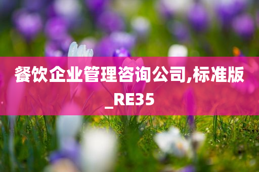 餐饮企业管理咨询公司,标准版_RE35