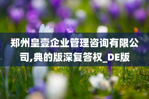 郑州皇壹企业管理咨询有限公司,典的版深复答权_DE版