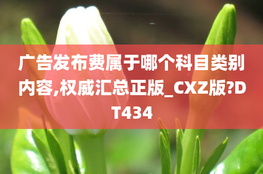 广告发布费属于哪个科目类别内容,权威汇总正版_CXZ版?DT434