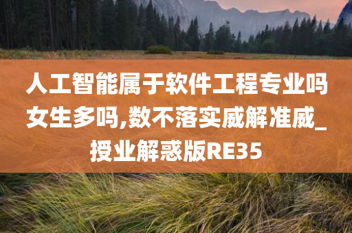 人工智能属于软件工程专业吗女生多吗,数不落实威解准威_授业解惑版RE35