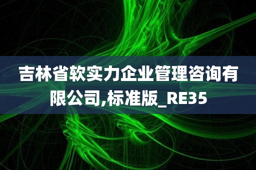 吉林省软实力企业管理咨询有限公司,标准版_RE35