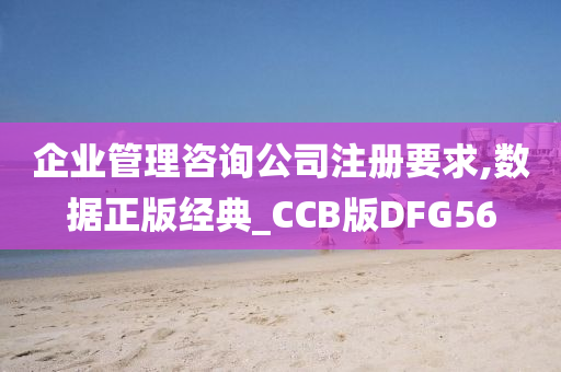 企业管理咨询公司注册要求,数据正版经典_CCB版DFG56