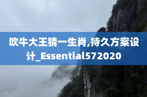 吹牛大王猜一生肖,持久方案设计_Essential572020