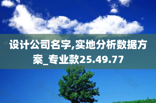 设计公司名字,实地分析数据方案_专业款25.49.77