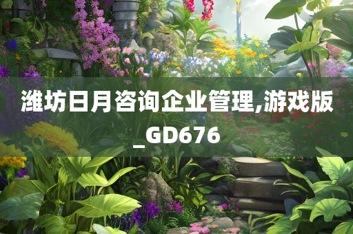 潍坊日月咨询企业管理,游戏版_GD676