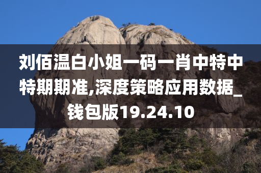 刘佰温白小姐一码一肖中特中特期期准,深度策略应用数据_钱包版19.24.10