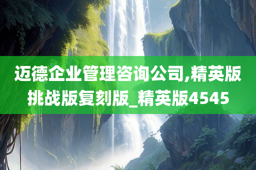 迈德企业管理咨询公司,精英版挑战版复刻版_精英版4545