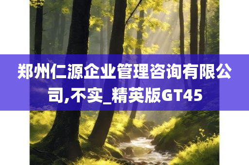 郑州仁源企业管理咨询有限公司,不实_精英版GT45