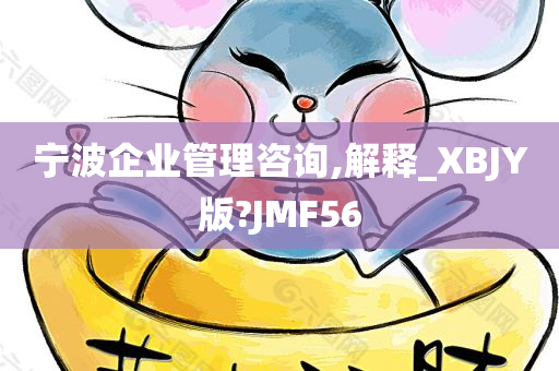 宁波企业管理咨询,解释_XBJY版?JMF56