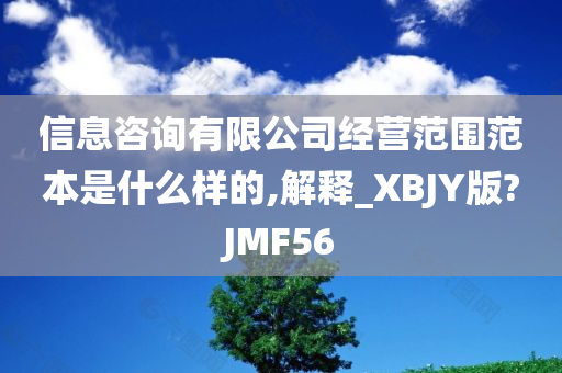 信息咨询有限公司经营范围范本是什么样的,解释_XBJY版?JMF56