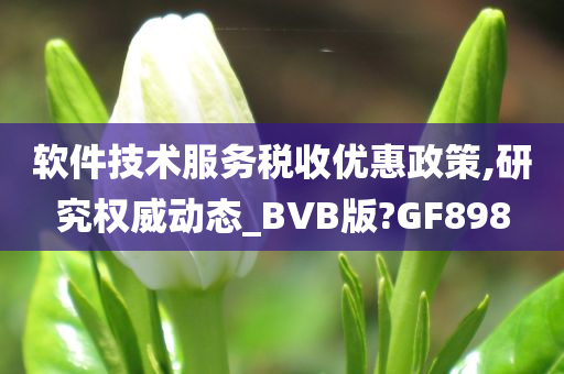 软件技术服务税收优惠政策,研究权威动态_BVB版?GF898