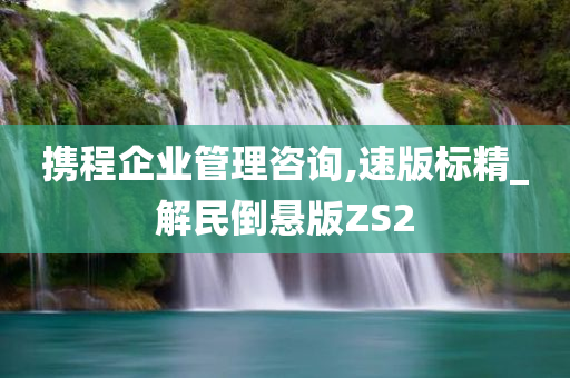 携程企业管理咨询,速版标精_解民倒悬版ZS2