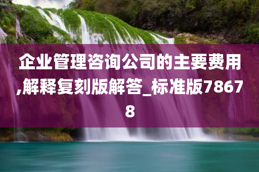 企业管理咨询公司的主要费用,解释复刻版解答_标准版78678