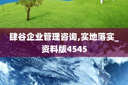 肆谷企业管理咨询,实地落实_资料版4545