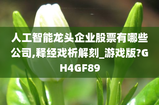 人工智能龙头企业股票有哪些公司,释经戏析解刻_游戏版?GH4GF89