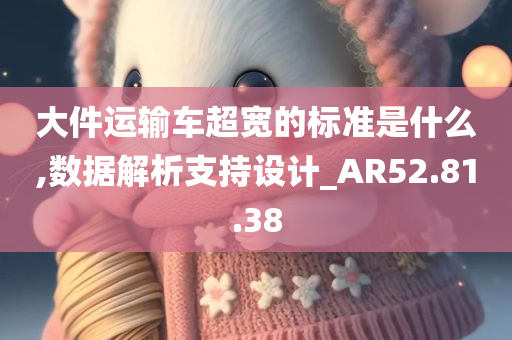 大件运输车超宽的标准是什么,数据解析支持设计_AR52.81.38