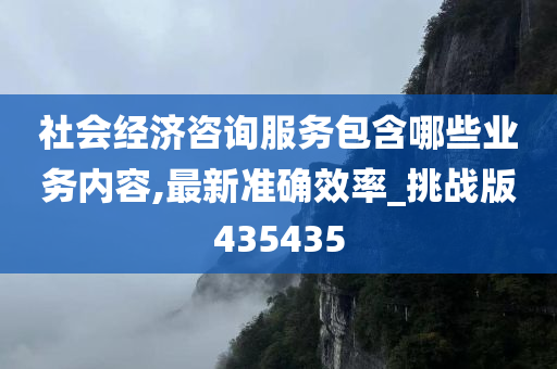 社会经济咨询服务包含哪些业务内容,最新准确效率_挑战版435435