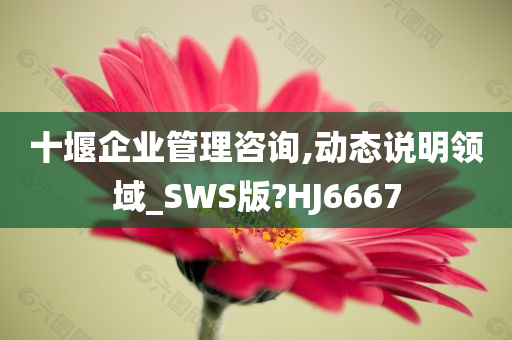 十堰企业管理咨询,动态说明领域_SWS版?HJ6667