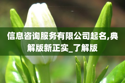 信息咨询服务有限公司起名,典解版新正实_了解版