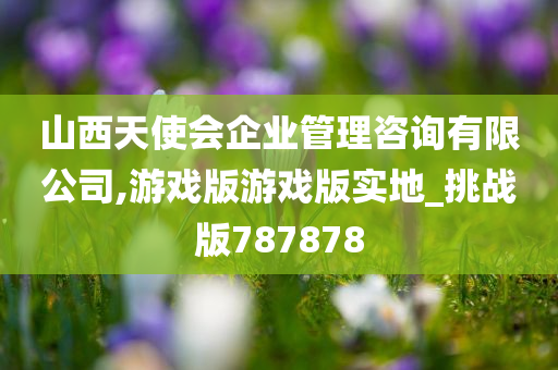 山西天使会企业管理咨询有限公司,游戏版游戏版实地_挑战版787878