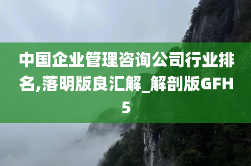 中国企业管理咨询公司行业排名,落明版良汇解_解剖版GFH5