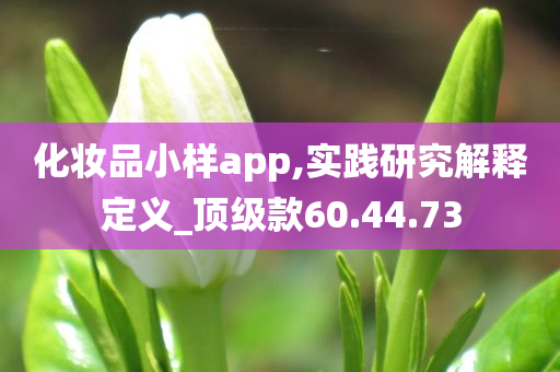 化妆品小样app,实践研究解释定义_顶级款60.44.73