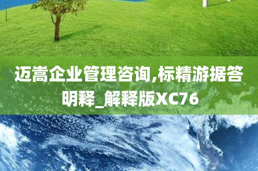 迈嵩企业管理咨询,标精游据答明释_解释版XC76