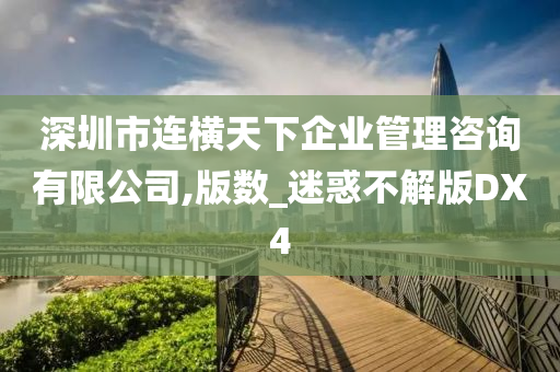 深圳市连横天下企业管理咨询有限公司,版数_迷惑不解版DX4