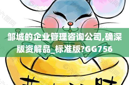 邹城的企业管理咨询公司,确深版资解品_标准版?GG756