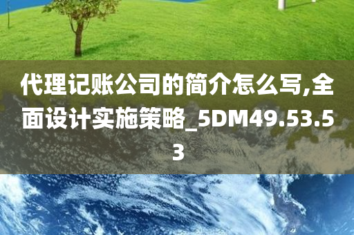 代理记账公司的简介怎么写,全面设计实施策略_5DM49.53.53