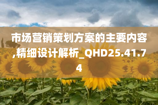 市场营销策划方案的主要内容,精细设计解析_QHD25.41.74