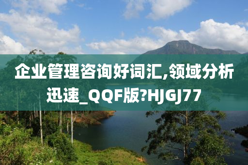 企业管理咨询好词汇,领域分析迅速_QQF版?HJGJ77