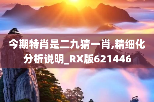 今期特肖是二九猜一肖,精细化分析说明_RX版621446