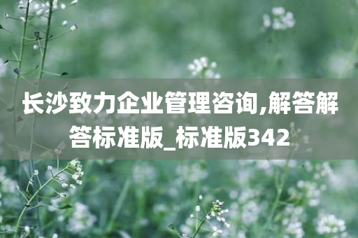 长沙致力企业管理咨询,解答解答标准版_标准版342