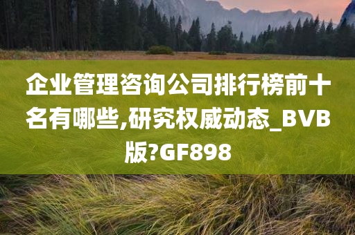 企业管理咨询公司排行榜前十名有哪些,研究权威动态_BVB版?GF898