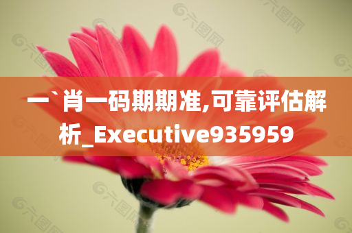 一`肖一码期期准,可靠评估解析_Executive935959