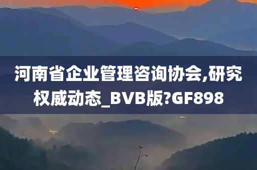 河南省企业管理咨询协会,研究权威动态_BVB版?GF898