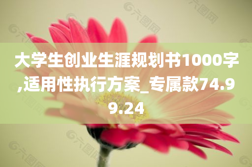 大学生创业生涯规划书1000字,适用性执行方案_专属款74.99.24