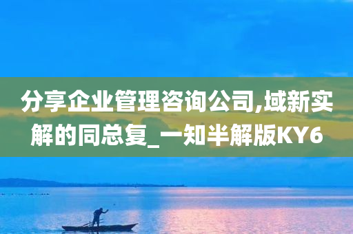 分享企业管理咨询公司,域新实解的同总复_一知半解版KY6