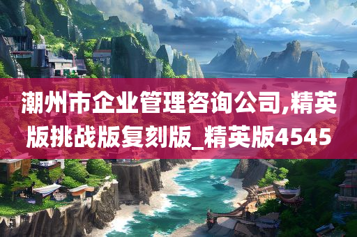 潮州市企业管理咨询公司,精英版挑战版复刻版_精英版4545