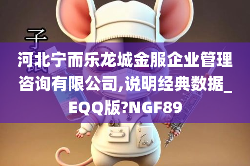 河北宁而乐龙城金服企业管理咨询有限公司,说明经典数据_EQQ版?NGF89