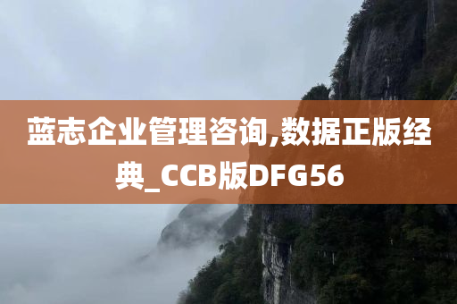 蓝志企业管理咨询,数据正版经典_CCB版DFG56