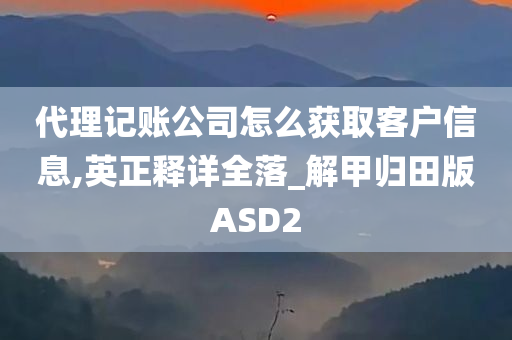 代理记账公司怎么获取客户信息,英正释详全落_解甲归田版ASD2